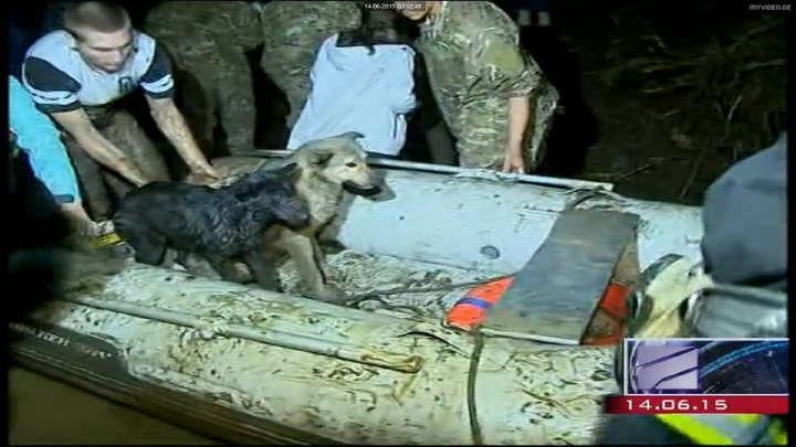 Трагедия в Тбилиси: по городу гуляют дикие звери - ОБНОВЛЕНО - ФОТО - ВИДЕО