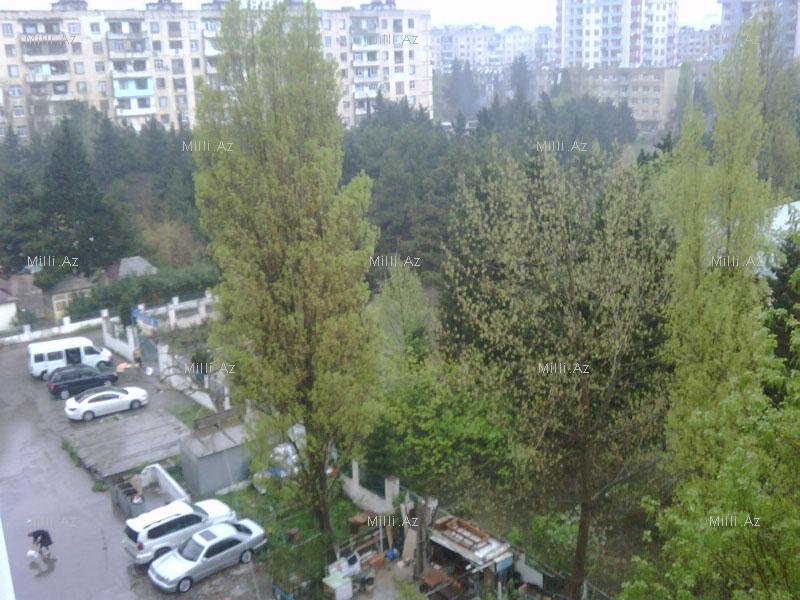 Бакинцы получат еще один новый парк - ФОТО
