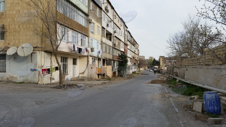 Деревья продолжают рубить. Акт вандализма или забота о населении? – ФОТО
