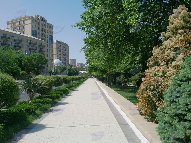 "Мой Баку": Парк с водопадом, который не оставит равнодушным