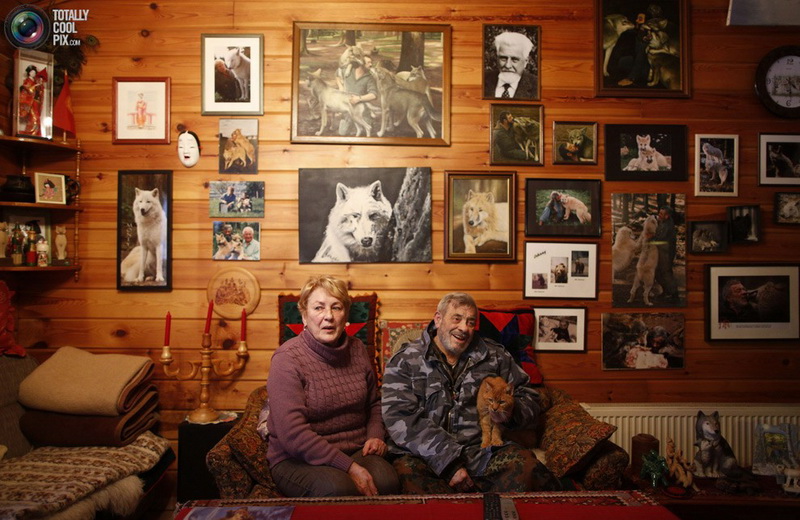 Необычный парк: жизнь с волками - ФОТОСЕССИЯ