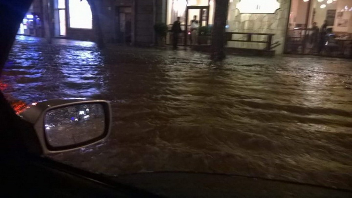 Трагедия в Тбилиси: по городу гуляют дикие звери - ОБНОВЛЕНО - ФОТО - ВИДЕО