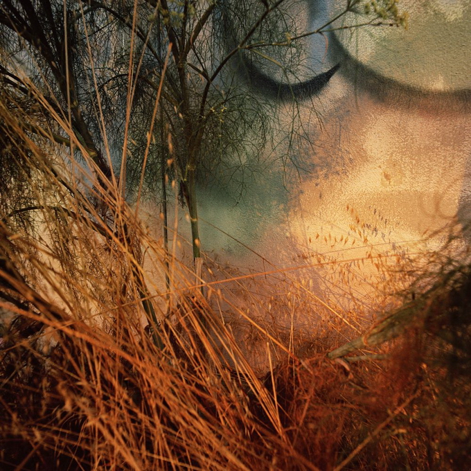 "Картинная галерея" Day.Az: Необычные пейзажи Лауры Плейгман - ФОТО