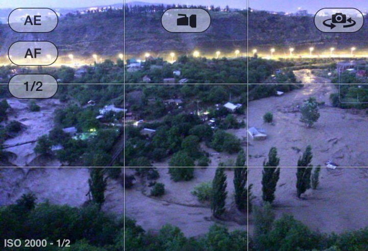 Трагедия в Тбилиси: по городу гуляют дикие звери - ОБНОВЛЕНО - ФОТО - ВИДЕО