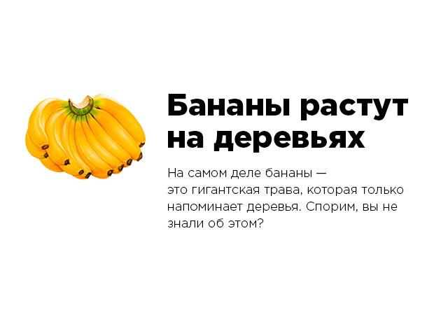 Эти факты рунета не имеют ничего общего с истиной