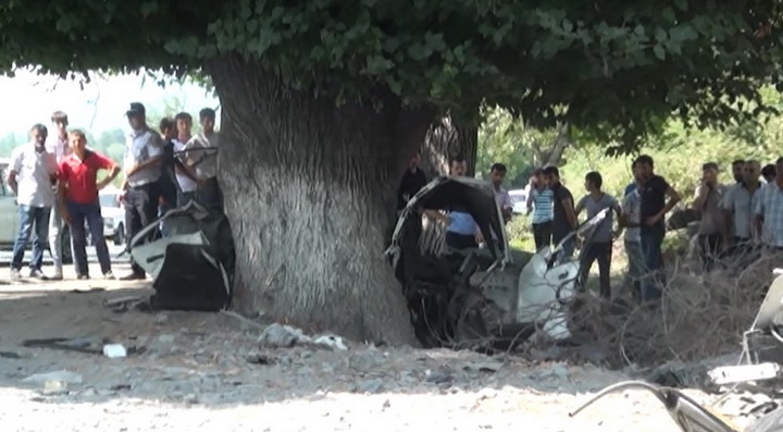 "Mercedes" ağaca çırpıldı, sürücü öldü - FOTO