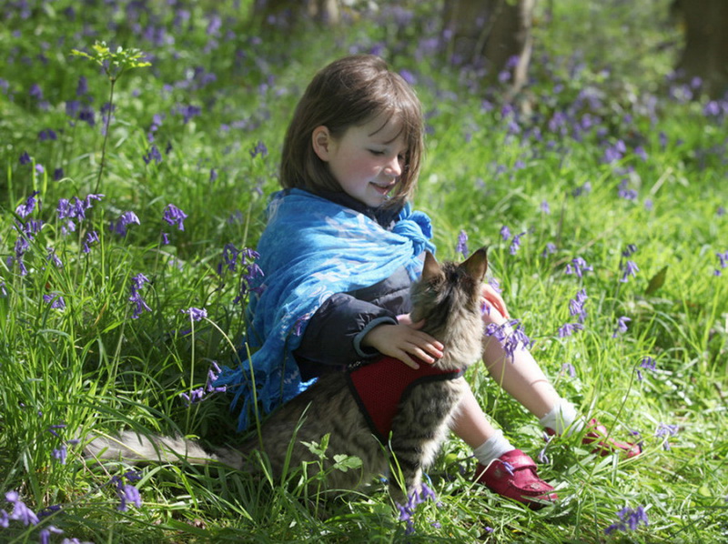 "Картинная галерея" Day.Az: Потрясающие работы девочки-аутиста - ФОТО