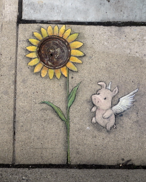 "Картинная галерея" Day.Az: Уличный художник Дэвид Зинн - ФОТО