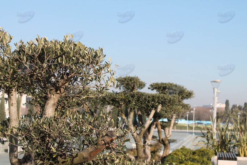 Проект "Мой Баку": Деде Горгуд. Один день у озера - РЕПОРТАЖ - ФОТО