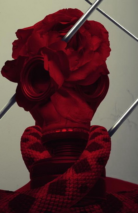 "Картинная галерея" Day.Az: Современный художник Саид Халифа - ФОТО