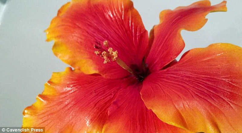 Сладкие джунгли: в Британии испекли невероятные торты - ФОТО