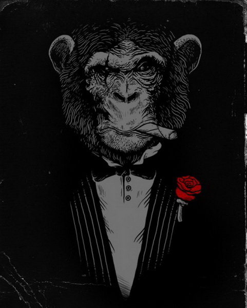 "Картинная галерея Day.Az": Остроумные иллюстрации - ФОТО