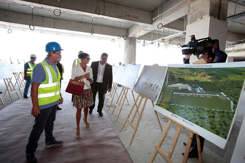 Первая леди Азербайджана Мехрибан Алиева ознакомилась со строительством и реконструкцией спортивных объектов в связи с подготовкой к первым Европейским играм - ФОТО
