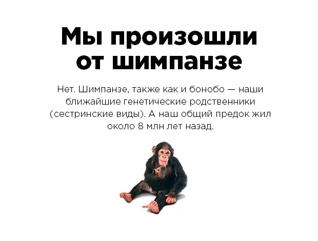 Эти факты рунета не имеют ничего общего с истиной