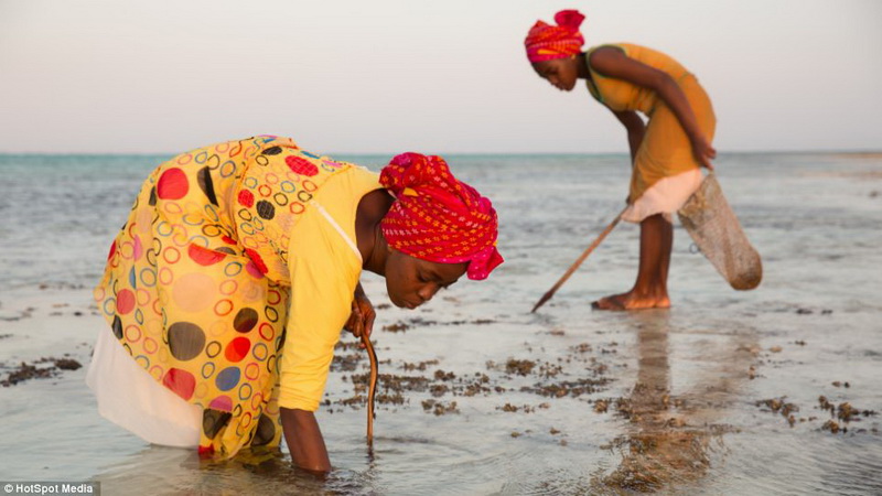 Ужин посреди моря: один из самых экзотических ресторанов - ФОТО