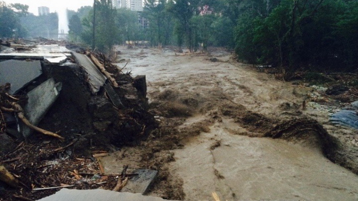 Трагедия в Тбилиси: по городу гуляют дикие звери - ОБНОВЛЕНО - ФОТО - ВИДЕО