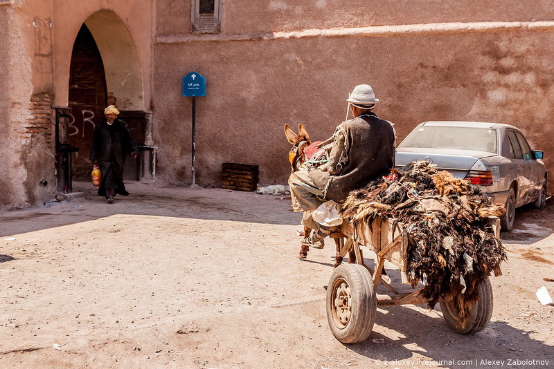 Марокко: как изготавливают натуральную кожу - ФОТОСЕССИЯ