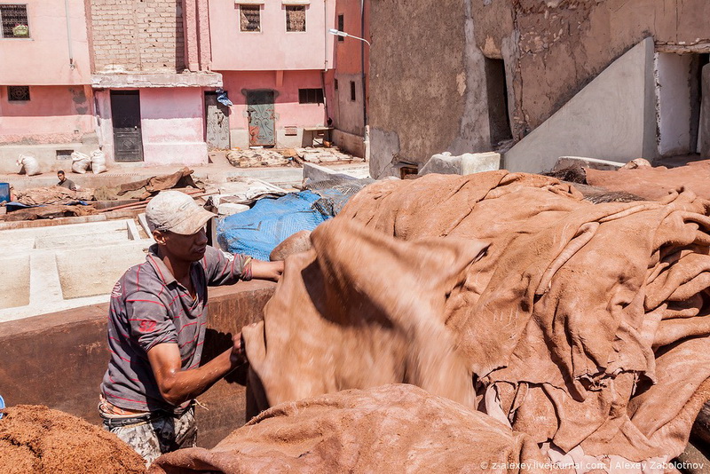 Марокко: как изготавливают натуральную кожу - ФОТОСЕССИЯ