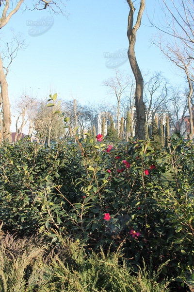 Проект "Мой Баку": Деде Горгуд. Один день у озера - РЕПОРТАЖ - ФОТО