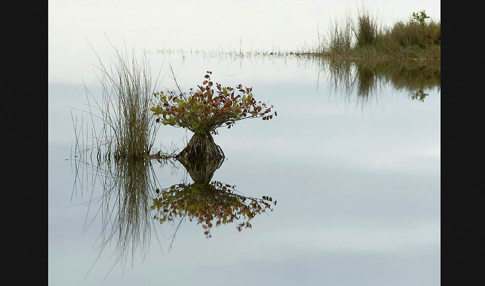 Победители 7-го ежегодного фотоконкурса Focus on Nature - ФОТОСЕССИЯ