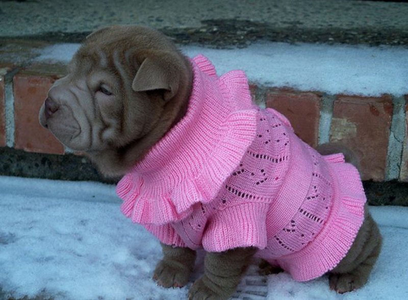 Правда от мужчин: 12 врагов женской привлекательности - ФОТО