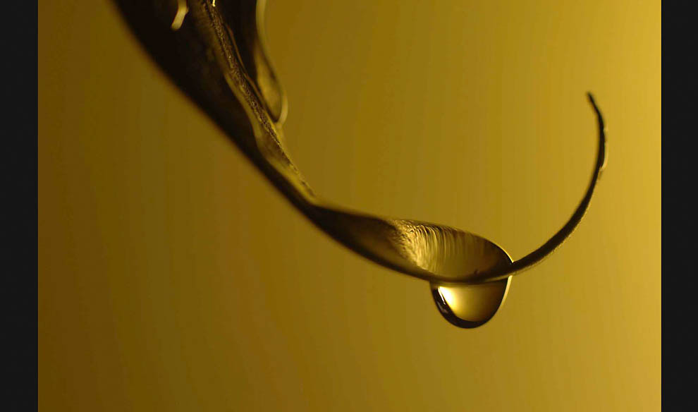 Победители 7-го ежегодного фотоконкурса Focus on Nature - ФОТОСЕССИЯ