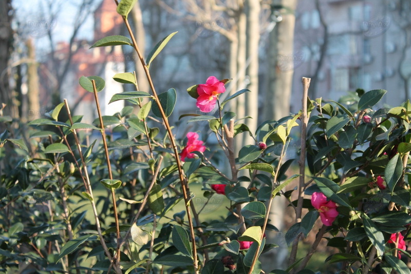 Проект "Мой Баку": Деде Горгуд. Один день у озера - РЕПОРТАЖ - ФОТО