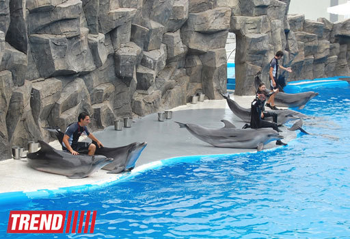 Батуми: сказочный курорт на берегу моря – ФОТО