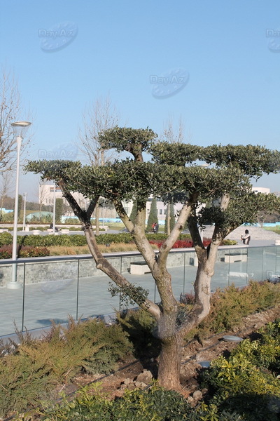 Проект "Мой Баку": Деде Горгуд. Один день у озера - РЕПОРТАЖ - ФОТО