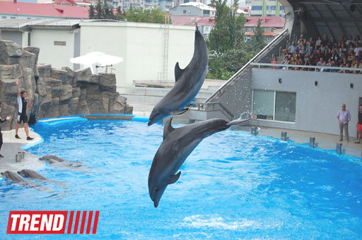 Батуми: сказочный курорт на берегу моря – ФОТО