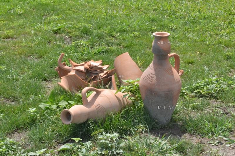 В одном из районов Азербайджана разбит удивительный парк - ФОТО