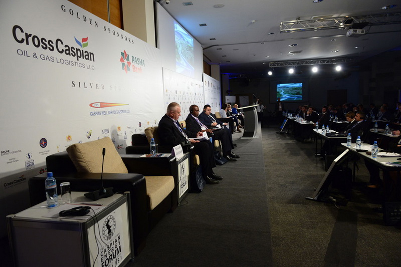 В Грузии прошел II международный Caspian Energy Forum-2014 - ФОТО