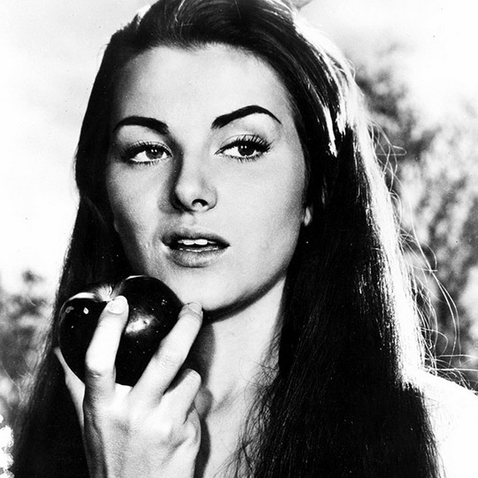 Все победительницы "Мисс Вселенная": как изменились идеалы красоты за 60 лет - ФОТО