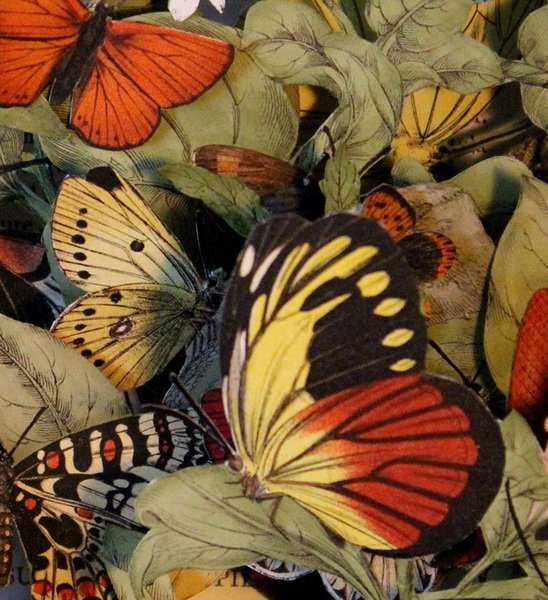 "Картинная галерея" Day.Az: Композиции из книг Керри Миллер - ФОТО