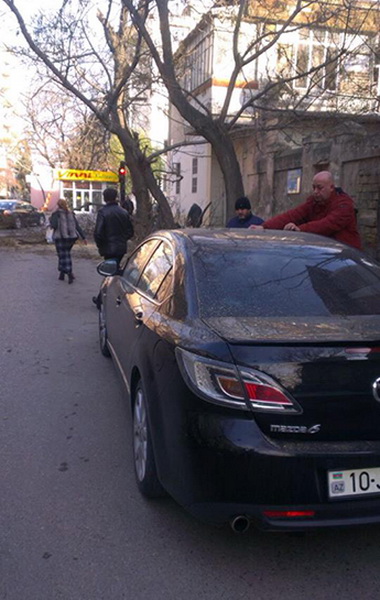 Дерево обрушилось на припаркованную Mazda в Баку – ФОТО