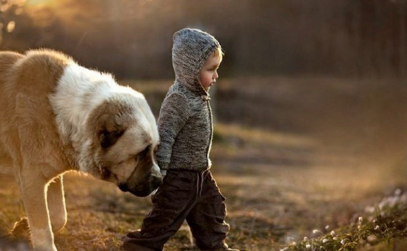 Маугли наших дней: дети, которых вырастили животные - ФОТОСЕССИЯ