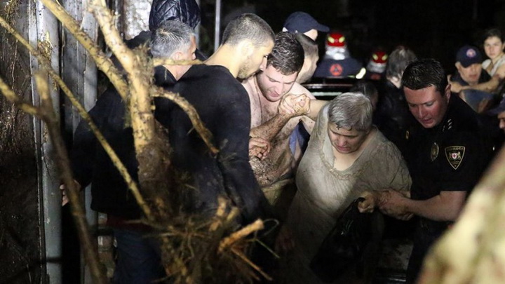 Трагедия в Тбилиси: по городу гуляют дикие звери - ОБНОВЛЕНО - ФОТО - ВИДЕО