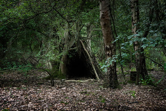 Sirli, müəmmalı meşə - FOTO