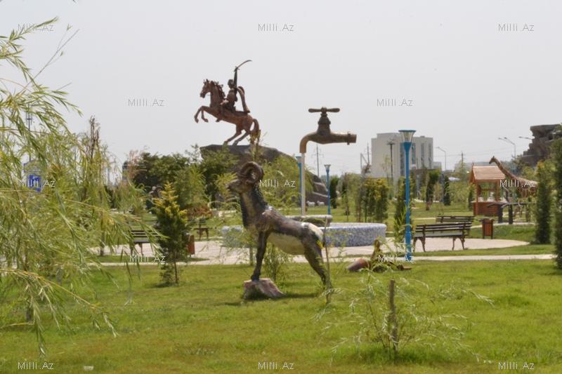 В одном из районов Азербайджана разбит удивительный парк - ФОТО