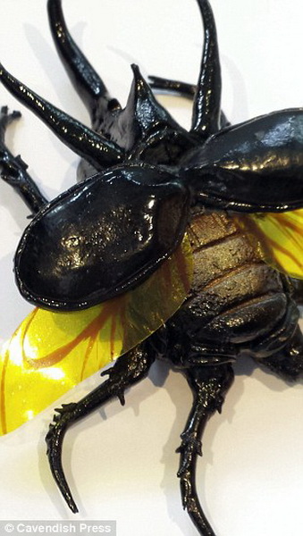 Сладкие джунгли: в Британии испекли невероятные торты - ФОТО