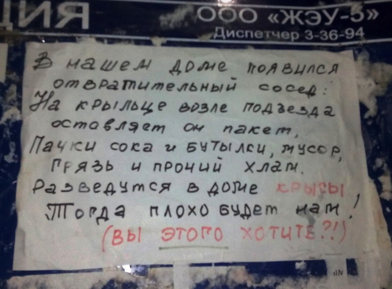 Шедевральные объявления: душевный копирайтинг - ФОТОСЕССИЯ