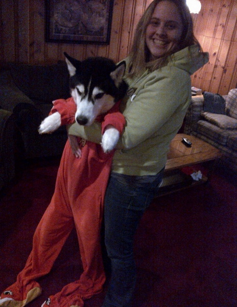 Глупо или мило: одежда для четвероногих друзей - ФОТО