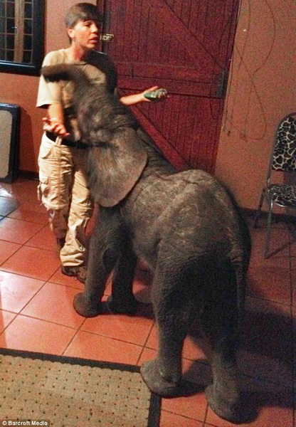 Самый неожиданный гость прибыл к африканской семье - ФОТО