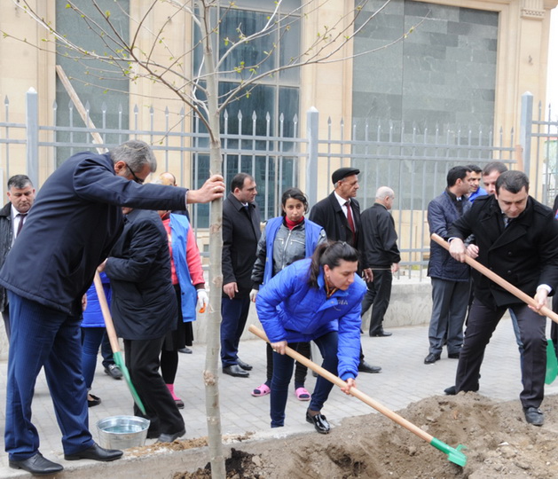 В Баку по инициативе вице-президента Фонда Гейдара Алиева Лейлы Алиевой состоялась озеленительная акция - ФОТО