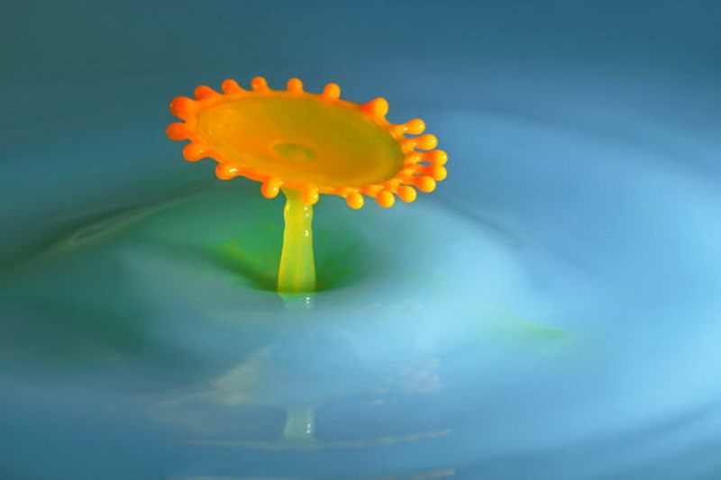 "Картинная галерея" Day.Az: Удивительная красота капель - ФОТО