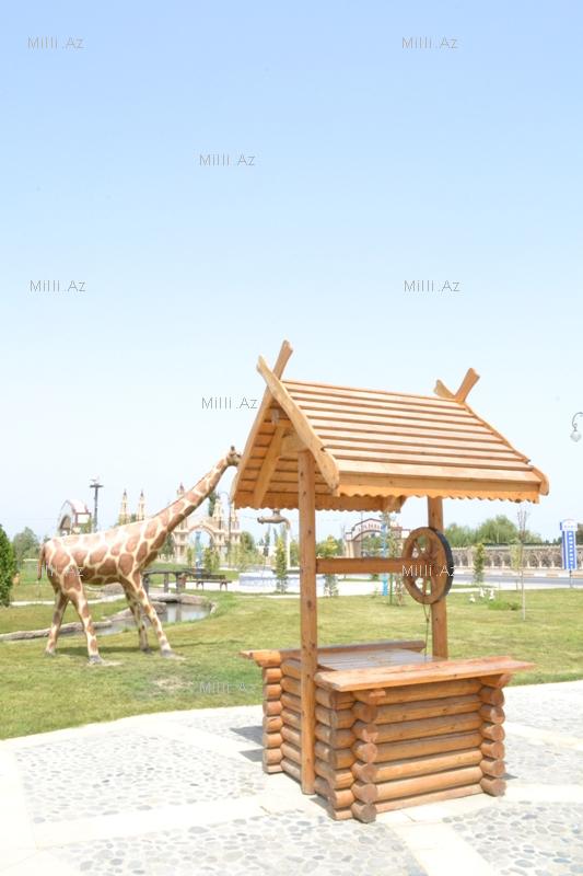 В одном из районов Азербайджана разбит удивительный парк - ФОТО