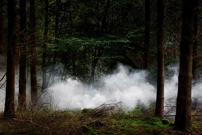 Sirli, müəmmalı meşə - FOTO