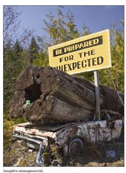 Самые забавные дорожные таблички по всему миру - ФОТО