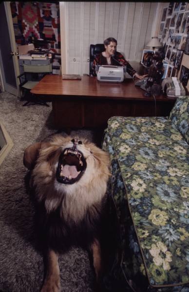 Очень опасные, но домашние львы - ФОТОСЕССИЯ