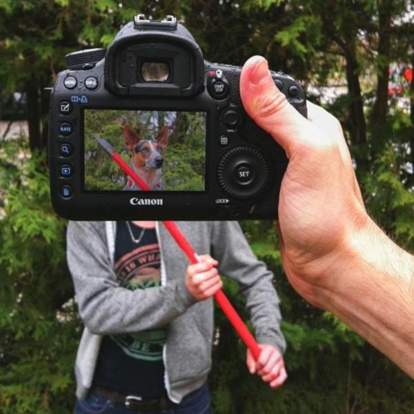Животные - копии своих хозяев - ФОТОСЕССИЯ